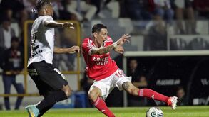As notas dos jogadores do Benfica frente ao Farense: recital no São Luís com o génio Di María 