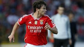 João Neves é o jogador sub-20 mais utilizado no mundo: lista tem mais dois portugueses