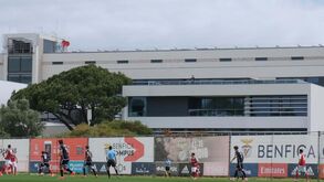 Rui Costa acompanha jogo dos juniores a partir da varanda