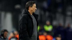 Roger Schmidt: «Se no final da época não for o melhor treinador para o Benfica, o presidente dir-me-á»
