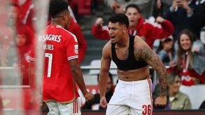 Benfica pode chegar aos 85 pontos: noutros tempos... foi mais que suficiente para ser campeão