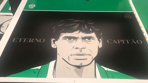 Sporting prepara homenagem a Manuel Fernandes: as cartolinas com o rosto do Eterno Capitão