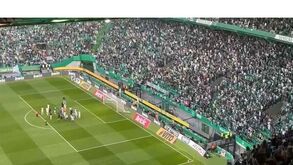 'Cheira' a título em Alvalade: estádio ao rubro e comunhão entre adeptos e jogadores do Sporting após o jogo