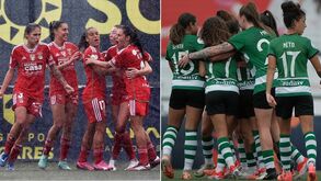 Benfica ou Sporting: título da Liga BPI será decidido na última jornada e estas são as contas
