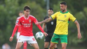 Benfica B-P. Ferreira, 2-2: encarnados deixam escapar triunfo nos descontos
