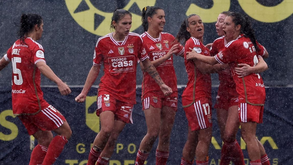 A crónica do Valadares Gaia-Benfica, 0-1: Líderes mais perto do tetra