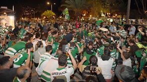 Centenas de adeptos 'pintaram' Funchal de verde para celebrar título do Sporting