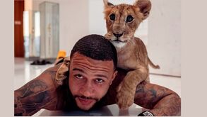 Passeio no parque para Depay: Polémica nas redes não abala o leão holandês