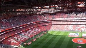 Rafa muito aplaudido e Schmidt assobiado no anúncio da equipa do Benfica na Luz