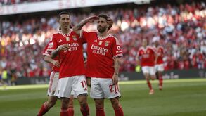 Rafa bisou no Benfica-Arouca e celebrou à Pizzi