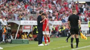 Roger Schmidt rendido a Rafa: «Os adeptos reconhecem que sempre deu o melhor pelo Benfica»