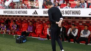 «O Benfica não pode ser uma fogueira de treinadores»: o futuro de Roger Schmidt