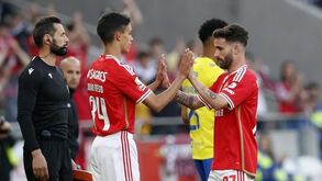 João Rego, a nova coqueluche do Seixal: gosta de matemática e entrou no Benfica pela mão de Shéu