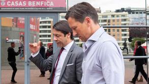 Rui Costa segura Schmidt: treinador prepara a nova época