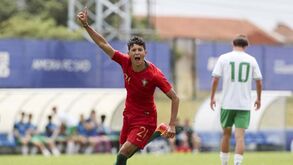 Sub-16 triunfam sobre a Irlanda, fazem pleno e vencem Torneio de Desenvolvimento da UEFA
