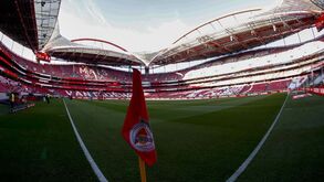 Benfica e Betano renovam parceria por mais três anos