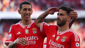 Notícia Record: Di María e Rafa de fora do último jogo do Benfica