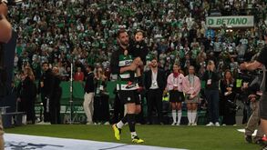 O desfile dos campeões, as reações e as melhores imagens: tudo sobre a festa do título do Sporting em Alvalade