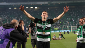 Prémios Record: Viking agarra tudo