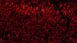 Benfica com quase um milhão de adeptos no Estádio da Luz esta temporada