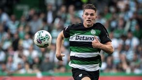 Salgado Zenha: «Sporting tem recursos para segurar Gyökeres»