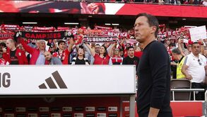 Benfica atento à final da Liga Europa: triunfo do Bayer garante apuramento para a fase de grupos da Champions