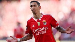 Mais longe da Luz: Di María não deve renovar contrato com o Benfica