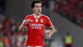 Álvaro Carreras assina contrato válido por cinco temporadas com o Benfica