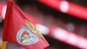 Quanto podem ganhar os elementos da Direção do Benfica? O projeto de novos estatutos esclarece