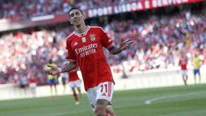 Rosario dá tudo para ter Di María