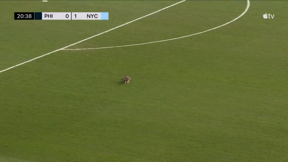 No duelo entre os Philadelphia Union e e os New York City