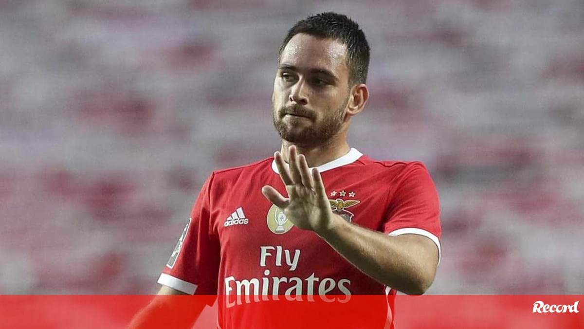 Pai de Zivkovic criou empresa dias antes da mudança para o Benfica e encaixou 5 milhões de euros