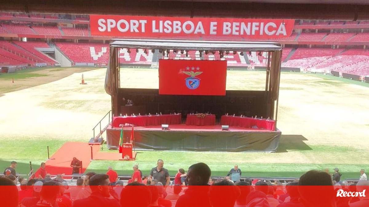 AG do Benfica em direto: sócios já começaram a entrar no estádio