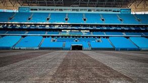 Impressionante: Arena do Grémio começou a ser limpa depois das cheias e... até peixe havia