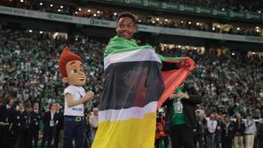 Black Bulls pedem acordo por Geny