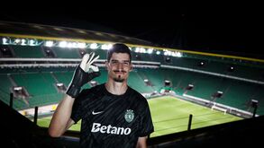 Sporting garante já encaixe por Kovacevic e pode receber mais: os números da operação com o Norwich