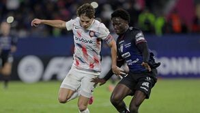 Palmeiras de Abel Ferreira apresenta proposta por alvo do Benfica