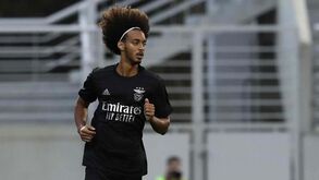 Tomás Tavares defende Roger Schmidt: «Não foi uma época tão má como dizem os adeptos...»