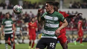 Italianos apontam leão Fresneda como alvo da Roma: relações com Ramadani podem ajudar