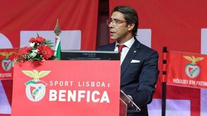 Orçamento para 2024/25 prevê lucro de 4,5 milhões de euros