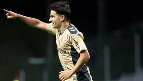 Wolverhampton volta à carga por Rodrigo Gomes