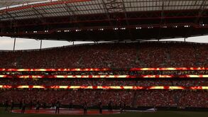 Benfica desmente negociações para vender 25% da SAD a americanos