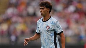 Benfica, o futuro, os melhores do mundo e o Europeu: as confissões de João Félix