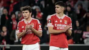 Rui Costa tranca a porta: SAD do Benfica não tem pressa para negociar e adia decisões