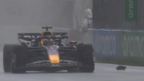 Verstappen ia atropelando uma marmota: «Comecei a aproximar-me e, de repente, 'meu Deus, é um animal!'»