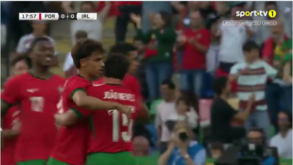 O golo de João Félix que abriu o marcador no Portugal-Rep. Irlanda