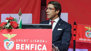 Comissão dos estatutos leva à AG do Benfica proposta divergente da direção