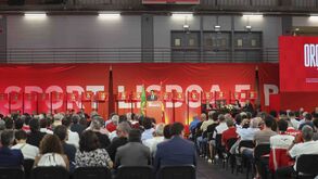 Rui Costa enfrenta tribunal encarnado: sábado a ferver na Luz