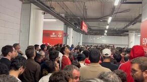 AG do Benfica: 'mar' de sócios para votar no pavilhão