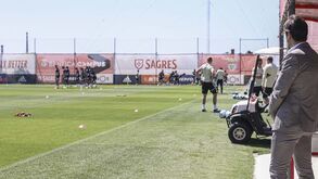 Nasce nova equipa no Benfica Campus